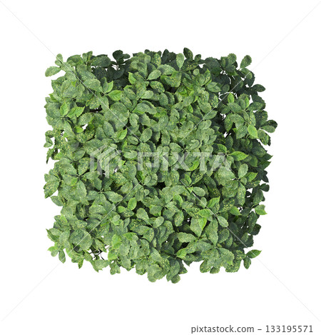 deciduous tree, isolate on a transparent background, 3d illustration 133195571