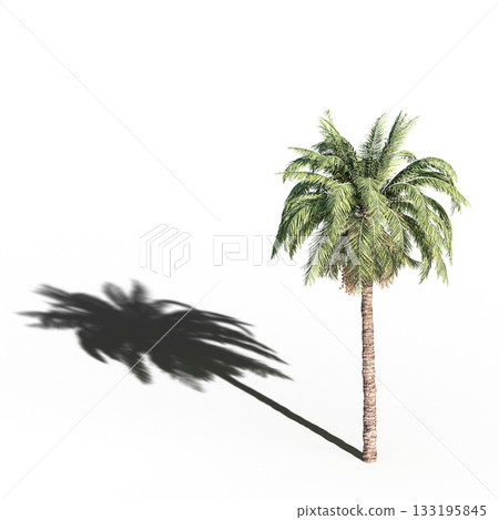 large tree with a shadow under it, isolated on a transparent background, 3D illustration, cg render large tree with a shadow under it, isolated on a transparent background, 3D illustration, cg render 133195845