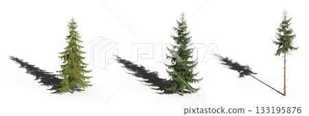 large tree with a shadow under it, isolated on a transparent background, 3D illustration, cg render large tree with a shadow under it, isolated on a transparent background, 3D illustration, cg render 133195876