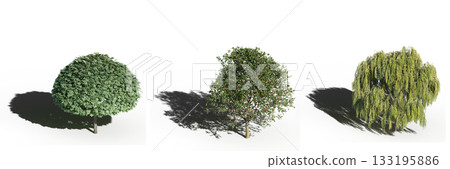 large tree with a shadow under it, isolated on a transparent background, 3D illustration, cg render 133195886