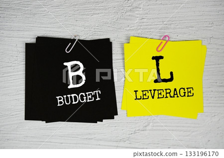 FL - Financial Leverage text on stick note on concrete background 133196170