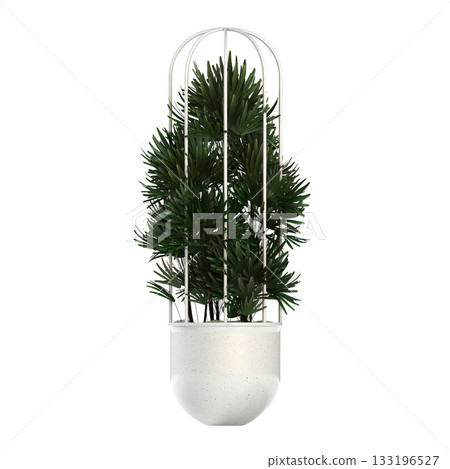 decorative flower in a pot isolate on a transparent background, 3D illustration, cg render 133196527