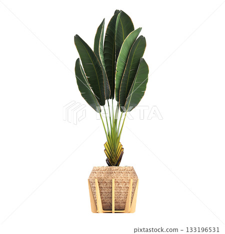 decorative flower in a pot isolate on a transparent background, 3D illustration, cg render decorative flower in a pot isolate on a transparent background, 3D illustration, cg render 133196531