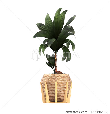 decorative flower in a pot isolate on a transparent background, 3D illustration, cg render 133196532