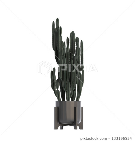 decorative flower in a pot isolate on a transparent background, 3D illustration, cg render 133196534
