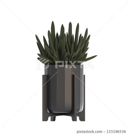 decorative flower in a pot isolate on a transparent background, 3D illustration, cg render decorative flower in a pot isolate on a transparent background, 3D illustration, cg render 133196536