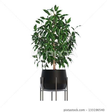 decorative flower in a pot isolate on a transparent background, 3D illustration, cg render decorative flower in a pot isolate on a transparent background, 3D illustration, cg render 133196540