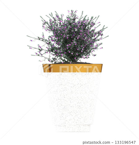 decorative flower in a pot isolate on a transparent background, 3D illustration, cg render decorative flower in a pot isolate on a transparent background, 3D illustration, cg render 133196547