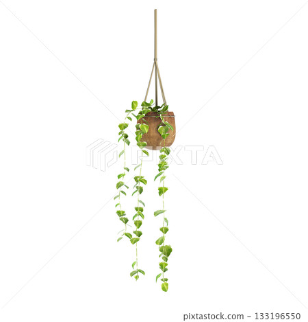 decorative flower in a pot isolate on a transparent background, 3D illustration, cg render 133196550