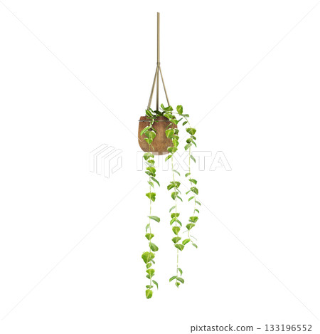 decorative flower in a pot isolate on a transparent background, 3D illustration, cg render 133196552