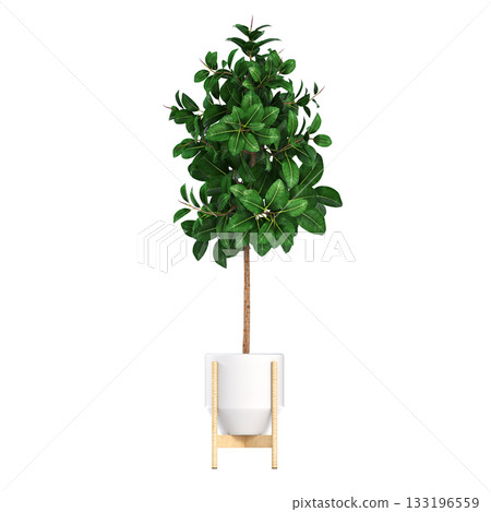 decorative flower in a pot isolate on a transparent background, 3D illustration, cg render decorative flower in a pot isolate on a transparent background, 3D illustration, cg render 133196559