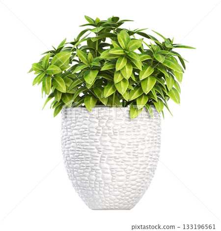 decorative flower in a pot isolate on a transparent background, 3D illustration, cg render decorative flower in a pot isolate on a transparent background, 3D illustration, cg render 133196561