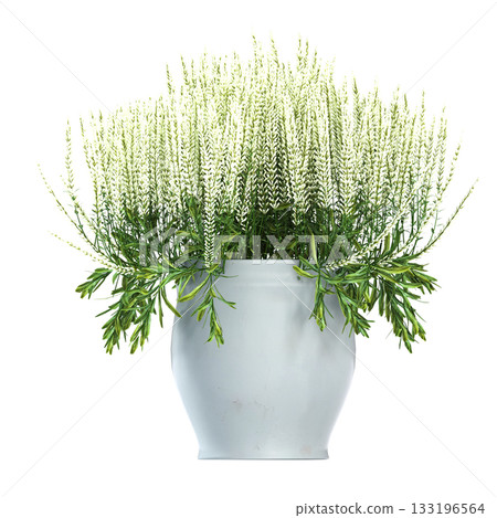 decorative flower in a pot isolate on a transparent background, 3D illustration, cg render decorative flower in a pot isolate on a transparent background, 3D illustration, cg render 133196564