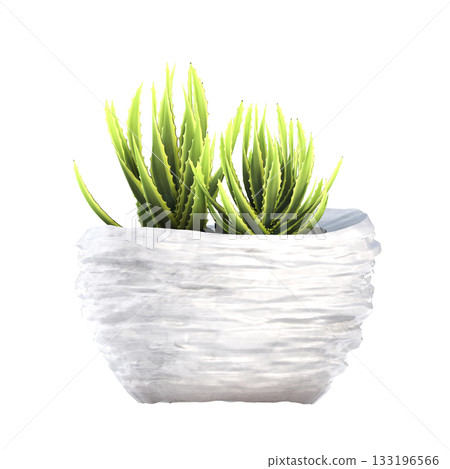 decorative flower in a pot isolate on a transparent background, 3D illustration, cg render 133196566