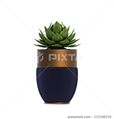 decorative flower in a pot isolate on a transparent background, 3D illustration, cg render 133196570