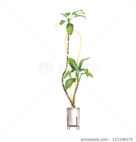 decorative flower in a pot isolate on a transparent background, 3D illustration, cg render 133196575
