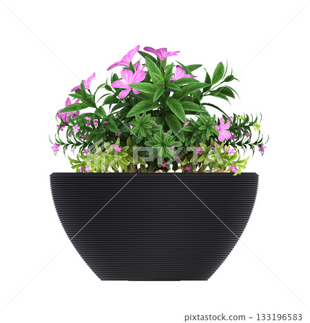 decorative flower in a pot isolate on a transparent background, 3D illustration, cg render 133196583