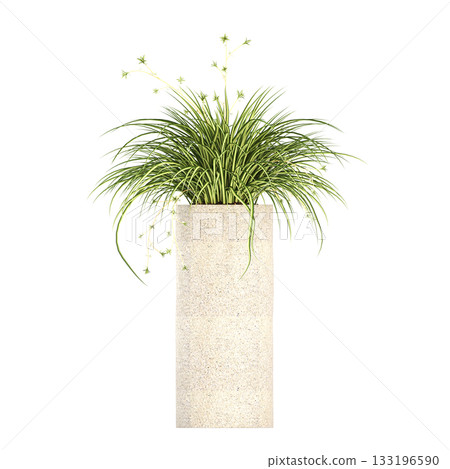 decorative flower in a pot isolate on a transparent background, 3D illustration, cg render decorative flower in a pot isolate on a transparent background, 3D illustration, cg render 133196590