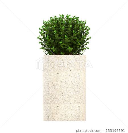 decorative flower in a pot isolate on a transparent background, 3D illustration, cg render 133196591