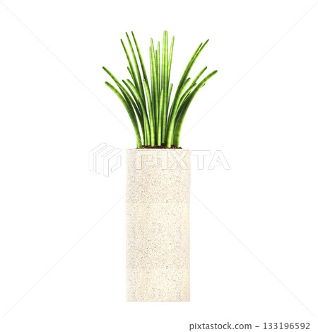 decorative flower in a pot isolate on a transparent background, 3D illustration, cg render decorative flower in a pot isolate on a transparent background, 3D illustration, cg render 133196592