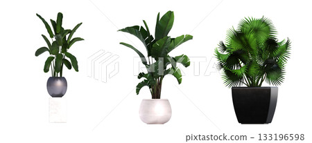 decorative flower in a pot isolate on a transparent background, 3D illustration, cg render decorative flower in a pot isolate on a transparent background, 3D illustration, cg render 133196598