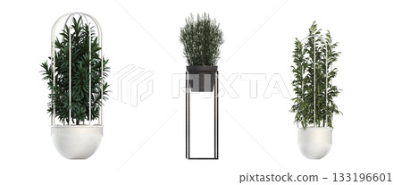 decorative flower in a pot isolate on a transparent background, 3D illustration, cg render 133196601