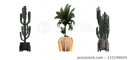 decorative flower in a pot isolate on a transparent background, 3D illustration, cg render 133196604