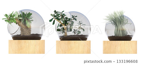 decorative flower in a pot isolate on a transparent background, 3D illustration, cg render 133196608