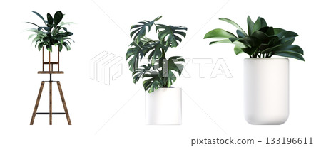 decorative flower in a pot isolate on a transparent background, 3D illustration, cg render 133196611