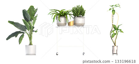 decorative flower in a pot isolate on a transparent background, 3D illustration, cg render decorative flower in a pot isolate on a transparent background, 3D illustration, cg render 133196618