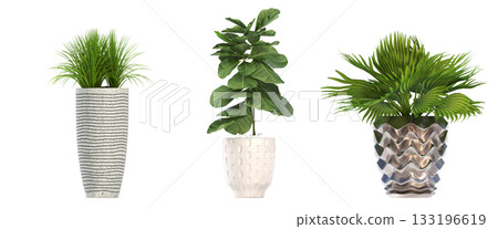 decorative flower in a pot isolate on a transparent background, 3D illustration, cg render 133196619