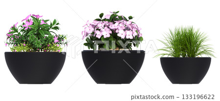 decorative flower in a pot isolate on a transparent background, 3D illustration, cg render decorative flower in a pot isolate on a transparent background, 3D illustration, cg render 133196622