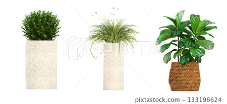 decorative flower in a pot isolate on a transparent background, 3D illustration, cg render decorative flower in a pot isolate on a transparent background, 3D illustration, cg render 133196624