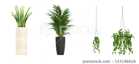 decorative flower in a pot isolate on a transparent background, 3D illustration, cg render decorative flower in a pot isolate on a transparent background, 3D illustration, cg render 133196626