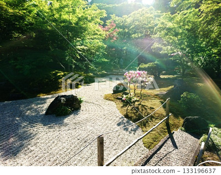 日本庭園 日本庭園 133196637