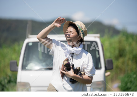 A woman and a light truck harvesting vegetables in the field. Farmers and agricultural workers are struggling with the lack of rain, drought, and water shortages. 133196678