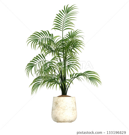 decorative flowers and plants for the interior, isolated on transparent background, 3D illustration, cg render decorative flowers and plants for the interior, isolated on transparent background, 3D illustration, cg render 133196829