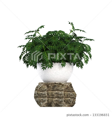 decorative flowers and plants for the interior, isolated on transparent background, 3D illustration, cg render 133196831