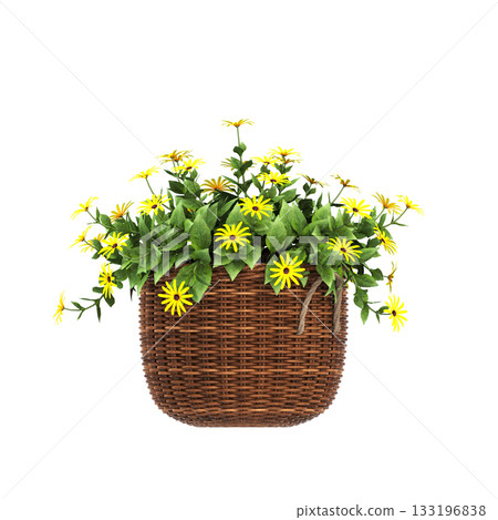 decorative flowers and plants for the interior, isolated on transparent background, 3D illustration, cg render decorative flowers and plants for the interior, isolated on transparent background, 3D illustration, cg render 133196838
