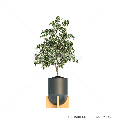 decorative flowers and plants for the interior, isolated on transparent background, 3D illustration, cg render decorative flowers and plants for the interior, isolated on transparent background, 3D illustration, cg render 133196839