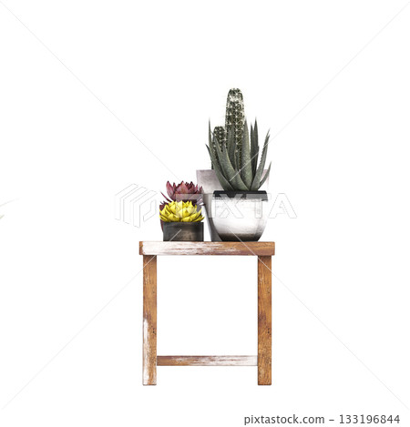 decorative flowers and plants for the interior, isolated on transparent background, 3D illustration, cg render decorative flowers and plants for the interior, isolated on transparent background, 3D illustration, cg render 133196844