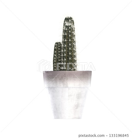 decorative flowers and plants for the interior, isolated on transparent background, 3D illustration, cg render 133196845