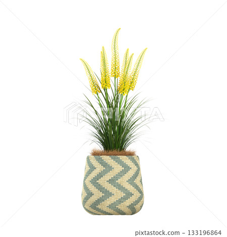 decorative flowers and plants for the interior, isolated on transparent background, 3D illustration, cg render 133196864