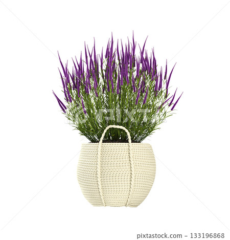 decorative flowers and plants for the interior, isolated on transparent background, 3D illustration, cg render decorative flowers and plants for the interior, isolated on transparent background, 3D illustration, cg render 133196868