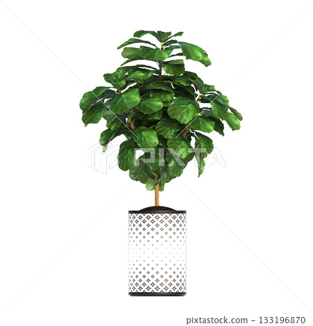 decorative flowers and plants for the interior, isolated on transparent background, 3D illustration, cg render decorative flowers and plants for the interior, isolated on transparent background, 3D illustration, cg render 133196870