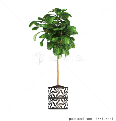 decorative flowers and plants for the interior, isolated on transparent background, 3D illustration, cg render decorative flowers and plants for the interior, isolated on transparent background, 3D illustration, cg render 133196871