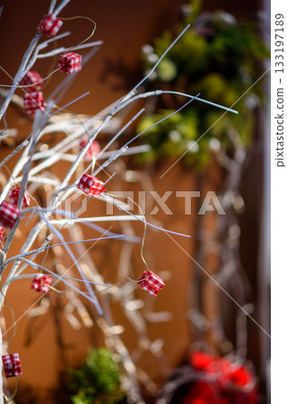 Festive Holiday Branches with Red Checkered Ornaments Festive Holiday Branches with Red Checkered Ornaments 133197189