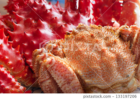Hair crab and Hanasaki crab Hair crab and Hanasaki crab 133197206