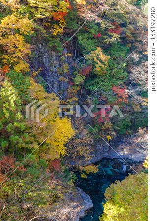 Autumn leaves near Okobashi Bridge in Tsukechi Gorge (Nakatsugawa City, Gifu Prefecture) Autumn leaves near Okobashi Bridge in Tsukechi Gorge (Nakatsugawa City, Gifu Prefecture) 133197280