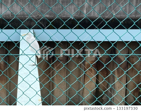 A view of a white bird over the fence 133197330